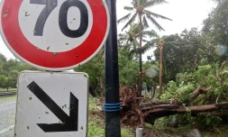 cyclone intense Batsirai 2 février 2022 côte est