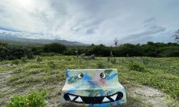 illustrations photos