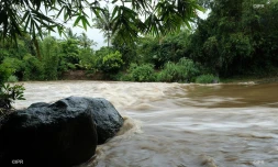 cyclone Dumazile