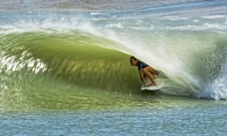 Surf