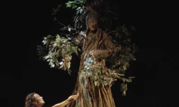 TOMA 2026 : le théâtre de La Réunion bien représentée à Avignon