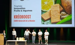 Saint-Pierre : le KréoBoost" des étudiants de l'Esiroi a séduit les jurys de l' Ecotrophelia France