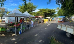 Saint-Pierre : un marché forain dédié au personnel de santé