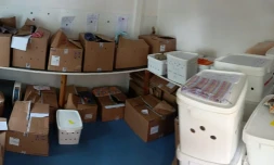 Pétrels récupérés par La Seor avril 2023