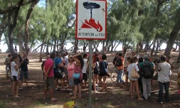 Rassemblement contre la pĂŞche des requins