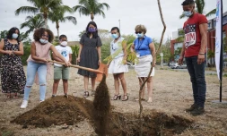 Saint-Denis : un jacaranda planté pour honorer les droits des enfants