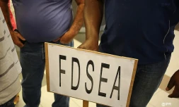 FDSEA