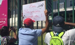 Route des géraniums