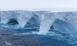 L'iceberg A23a, le plus vaste au monde, dérive en Antarctique, le 14 janvier 2024 ( EYOS Expeditions / Richard Sidey )