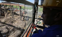 Lundi 11 Juillet 2011 Bois rouge - Début de la coupe de la canne dans l\'estPhoto Mamousse Mathieu