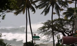 cyclone dina 22 janvier 2002