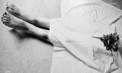 Premiers états généraux des violences faites aux femmes 
