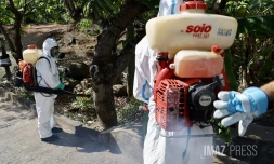 Chikungunya : l'épidémie est déclarée à La Réunion, le préfet déclenche le niveau 3 du dispositif Orsec [?]