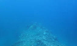 Lulu observation passe Ermtiage