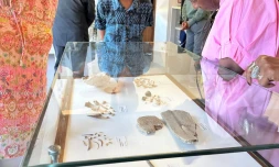 Le DĂ©partement accueille lâexposition "Tromelin, les esclaves oubliĂ©s"