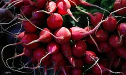 Marché forain du Port - jeudi 13 décembre 2018