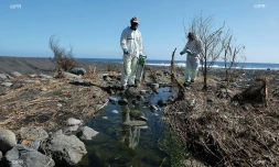 veille sanitaire au Port