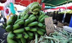 pénurie de bananes 