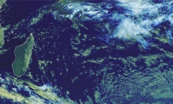 Saison cyclonique : risque de formation d'une tempête d'ici samedi