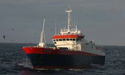 Nouveau patrouilleur 