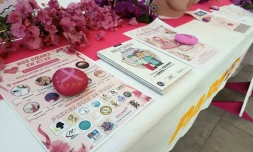 Octobre Rose : une matinée gratuite de prévention et de solidarité à Saint-Leu