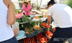 marché vrac plateau caillou 