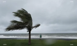 météo réunion 