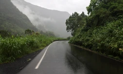 Cirque de Salazie 