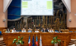 Région Réunion : l’édition 2025 du symposium sur la gestion du risque requin annoncée