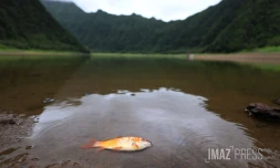 Sécheresse Grand Etang