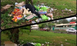 Des déchets laissés en pleine nature rue des Azalées à la Saline-les-Hauts à Saint-Paul.