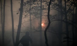 Des pompiers luttent contre un feu de forêt près de Le Tuzan, le 27 juillet 2020 en Gironde