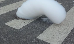 Journée mousse, Picasso en couche-culotte, Kévin est mort et robot suicidaire