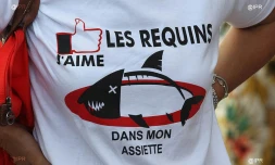 Requins