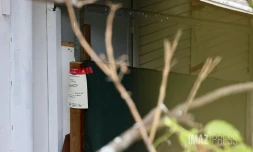 Agression au couteau rue acajous