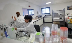 laboratoire de microlab 