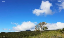 paysages est 