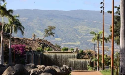 Parc de l'oasis au Port 
