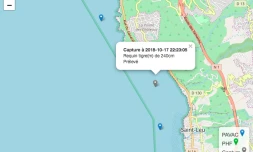 Capture Requin Tigre Localisation 18/10/18