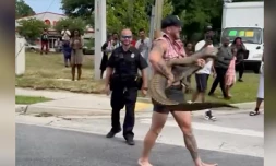 États-Unis : un combattant de MMA capture à mains nues un alligator qui errait dans la rue [?]