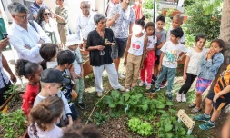 Saint-Denis inaugure un potager solidaire au Moufia 