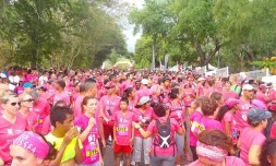 Odyssea 2014