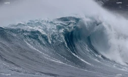 houle septembre 2020