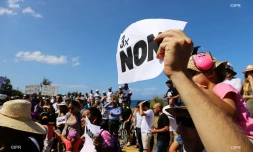 Chaêne huamine contre la carrière de Bois Blanc
