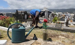 preparatifs de la toussaint au cimetiere 