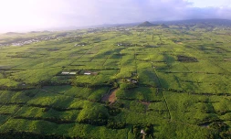Mont Vert les Hauts,