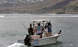 Mercredi 8 août 2012 - Les opérations de marquage de requins menées par l\'IRD ont repris dans l\'Ouest