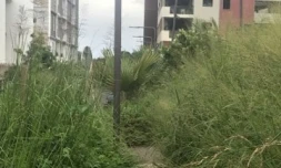 Jennifer Bouchez vos photos vos vidéos