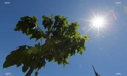 météo réunion 