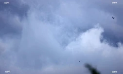 météo réunion 